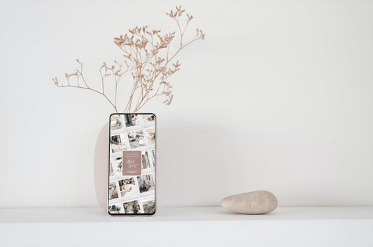 The Vera Spring Collection, Mobile No. 2