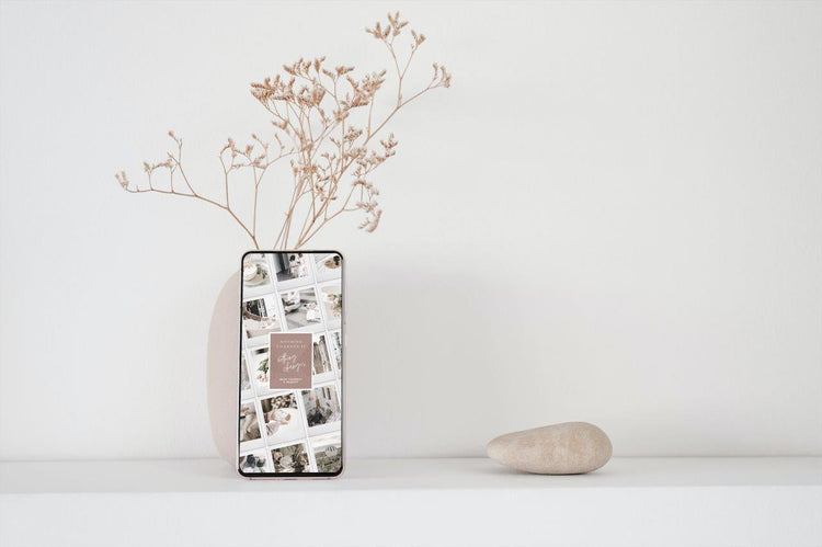 The Vera Spring Collection, Mobile No. 2