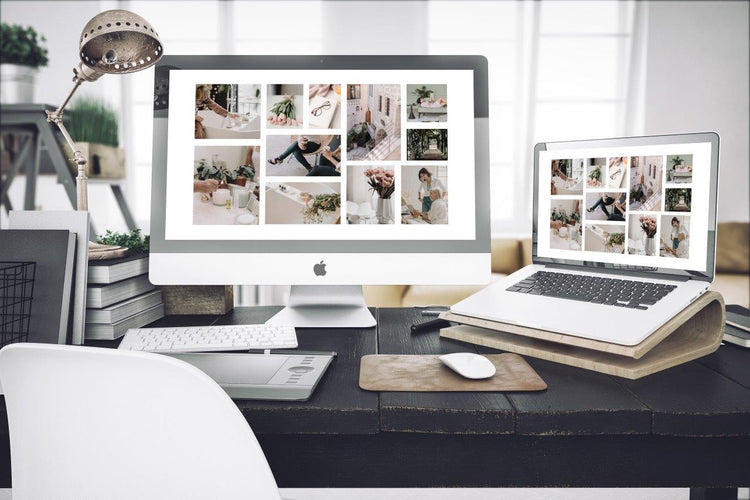 The Vera Spring Collection, Desktop No. 1