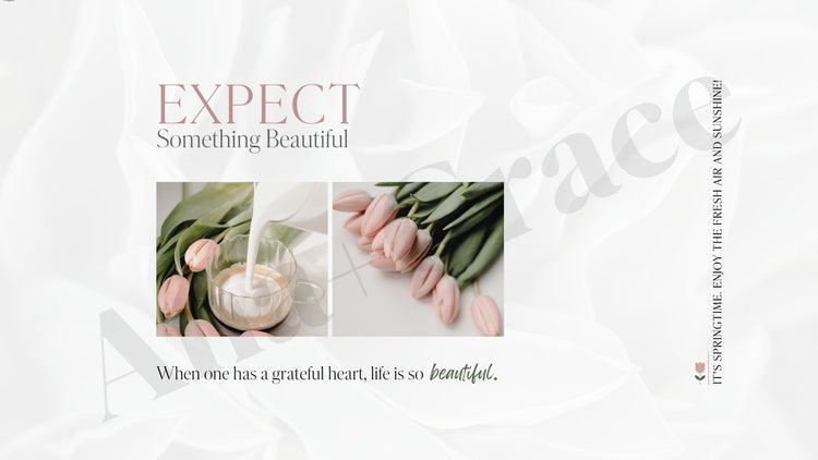 The Vera Spring Collection, Desktop No. 7
