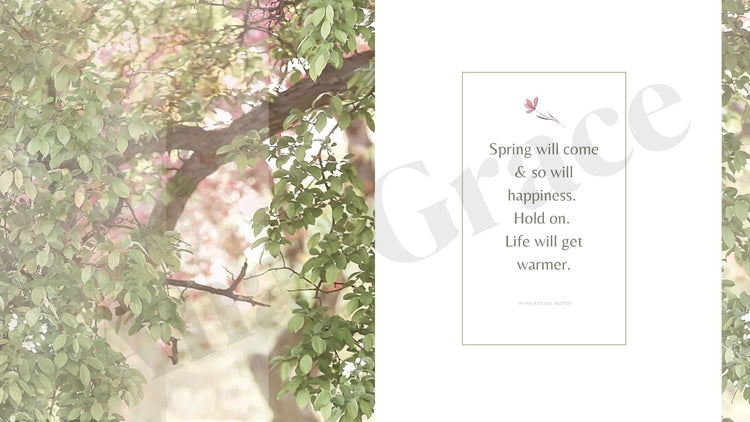 The Charlotte Spring Collection, Desktop No. 5