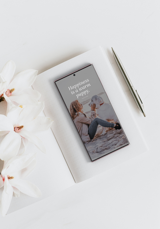 The Winslet Winter Collection, Mobile No. 2