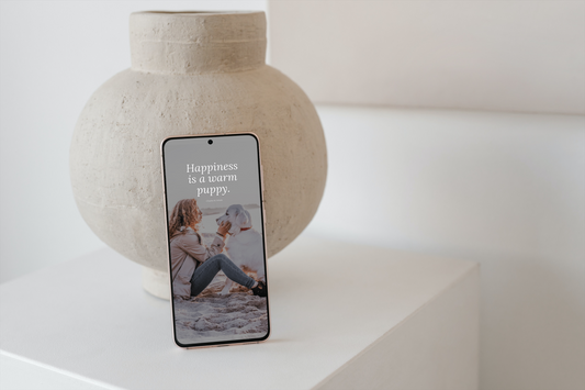 The Winslet Winter Collection, Mobile No. 2